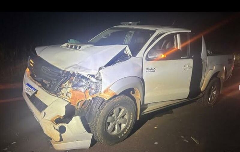 Imagem ilustrativa da matéria Colisão com animal na MS-357, saída para Camapuã, termina sem feridos